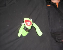 img 4586 20090928 1478702489