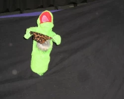 img 4590 20090928 1422976413