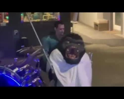 fasnacht bauschtu wuuudi