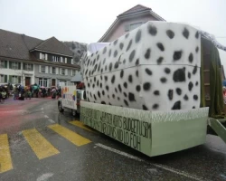 fasnachtsumzug 2016 102 20160209 1822222270