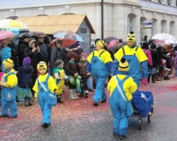 fasnachtsumzug 2016 120 20160209 1305470268