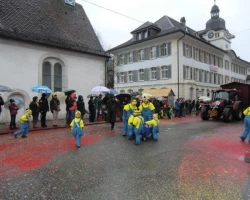fasnachtsumzug 2016 122 20160209 2057065833