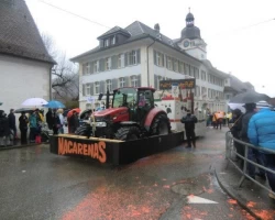 fasnachtsumzug 2016 61 20160209 1492572819