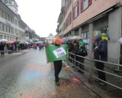 fasnachtsumzug 2016 65 20160209 1188491144