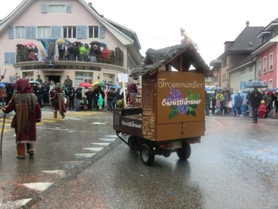 fasnachtsumzug 2016 80 20160209 1284143441