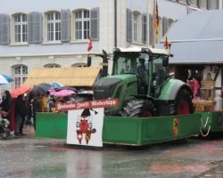 fasnachtsumzug 2016 93 20160209 1242871775