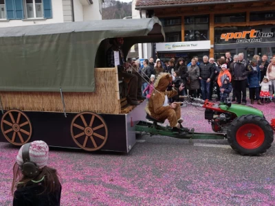 fasnachtsumzug 2017 123 20170226 1436336404