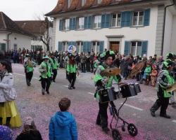fasnachtsumzug 2017 127 20170226 1785521456