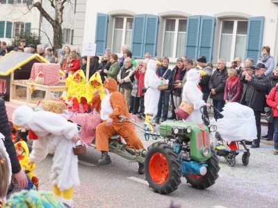 fasnachtsumzug 2017 130 20170226 1898331162
