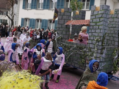 fasnachtsumzug 2017 142 20170226 1233745634