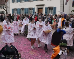 fasnachtsumzug 2017 144 20170226 1025714510