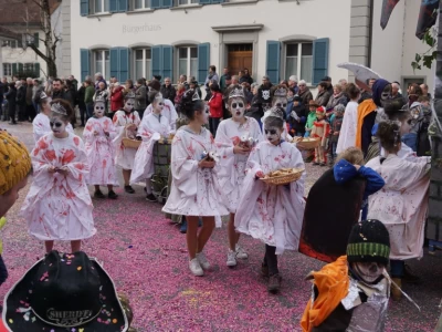 fasnachtsumzug 2017 144 20170226 1025714510