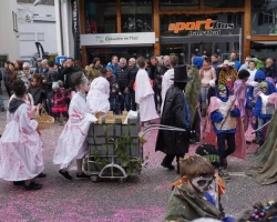 fasnachtsumzug 2017 145 20170226 1185912744
