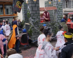 fasnachtsumzug 2017 146 20170226 1078666656