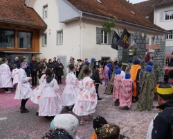 fasnachtsumzug 2017 147 20170226 1741607644