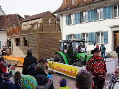fasnachtsumzug 2017 156 20170226 1225196168