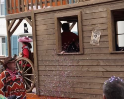 fasnachtsumzug 2017 158 20170226 1964370270