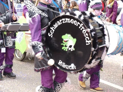 fasnachtsumzug fasnacht 2017 113 20170303 1229813753