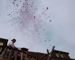 fasnachtsumzug fasnacht 2017 123 20170303 1156547026