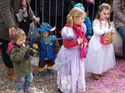 fasnachtsumzug fasnacht 2017 128 20170303 1255034271