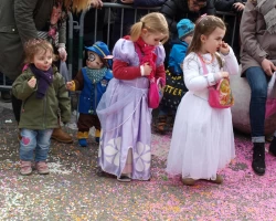 fasnachtsumzug fasnacht 2017 132 20170303 1275222599
