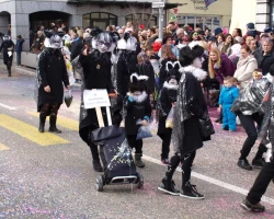 fasnachtsumzug fasnacht 2017 135 20170303 2067950298