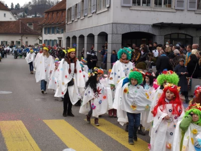 fasnachtsumzug fasnacht 2017 14 20170303 1496228794