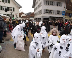 fasnachtsumzug fasnacht 2017 26 20170303 2038938479
