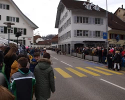 fasnachtsumzug fasnacht 2017 4 20170303 1937693952