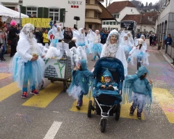 fasnachtsumzug fasnacht 2017 61 20170303 2011249678