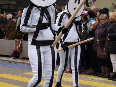 fasnachtsumzug fasnacht 2017 8 20170303 1469071247