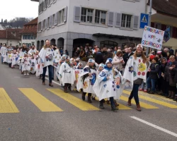 fasnachtsumzug fasnacht 2017 9 20170303 1781113065