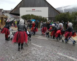 fasnachtsumzug 2018 102 20180211 1344698192