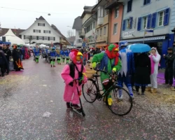 fasnachtsumzug 2018 12 20180211 2093374285