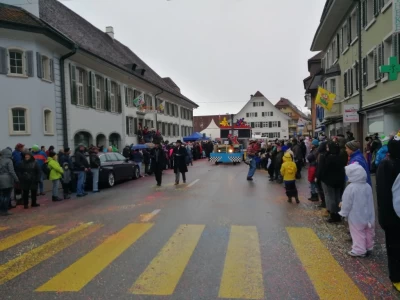 fasnachtsumzug 2018 38 20180211 1783318037