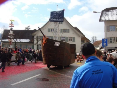 umzug sonntag 16 20120220 1346924769