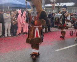umzug sonntag 19 20120220 1761148657