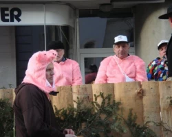 umzug sonntag 42 20120220 1557522266