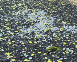 foto 02.03.25  14 39