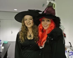 schnitzubankobe haulismatt 2014 3 20140303 2014940929