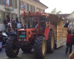 umzug fasnachtstreiben03022008 15 20091013 1440947866